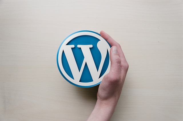 WordPress plugin